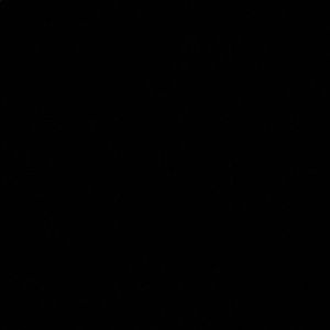 Meet your Posher, Lesty